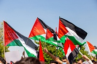 Более десяти тысяч жителей Дирборна (США) протестуют против израильской кровавой кампании против Палестины