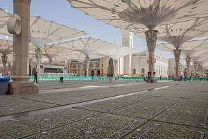 12 thousand new green carpets were laid in the Prophet's Mosque in Medina