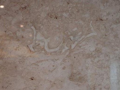 В Турции найдена плита, с надписью «басмала» возрастом 195 миллионов лет