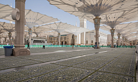 12 тысяч новых зеленых ковров, были постелены в мечети Пророка в Медине